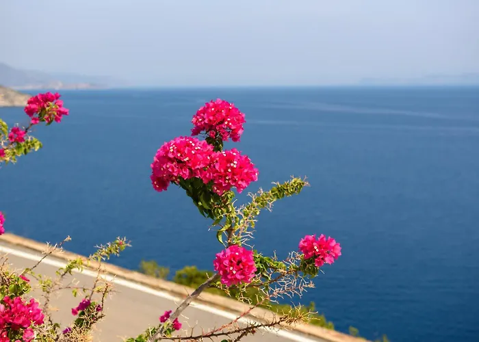 Nefeles * Arkadiko Chorio